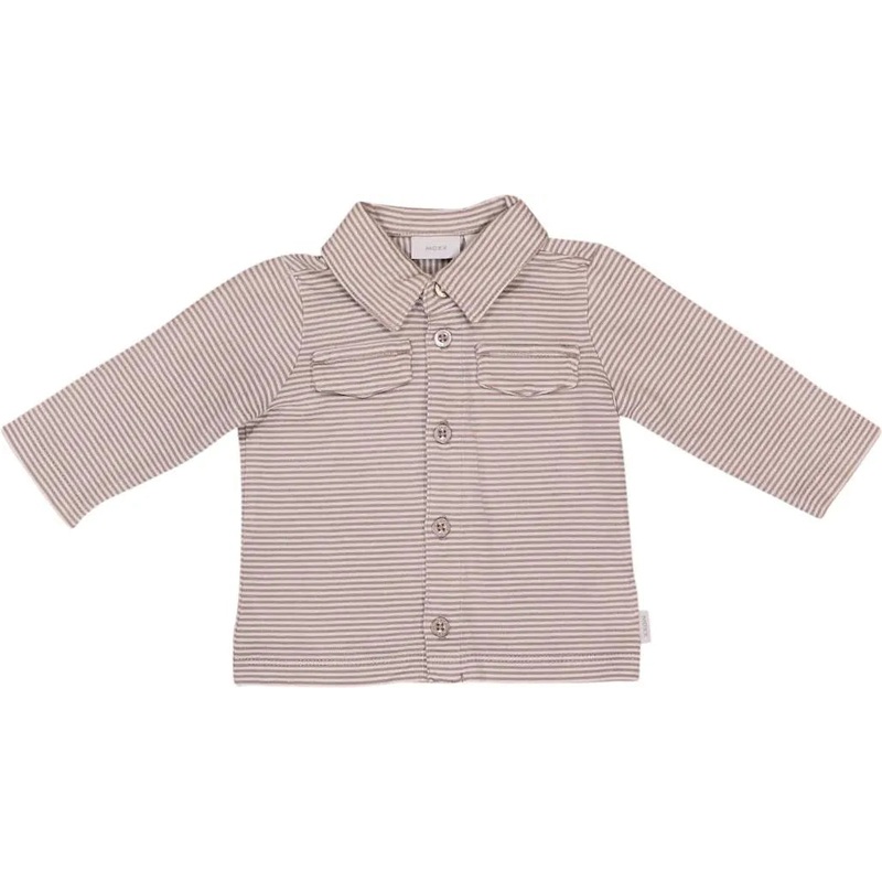 YELLOW3981